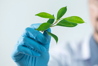 企業(yè)動態(tài)